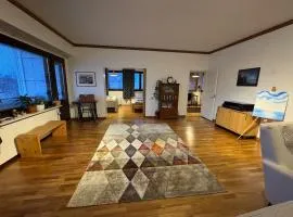 Spacious Top Floor Apartment in the City Center