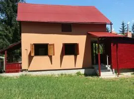 Villa ALVIK