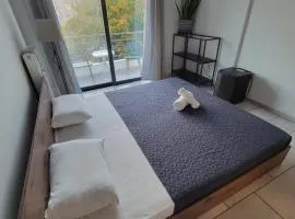 Nicole sharing apartments