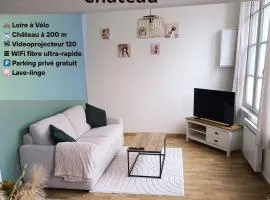 Le Nid du Château Sully-sur-Loire