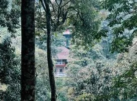 Zeno Village Resort, Near 900 Kandi Wayanad