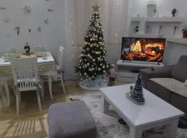 The Guest Apartament 2 bedrooms Fier