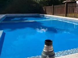 cabañas alpinas obligado