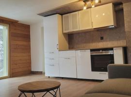 Aletsch Arena Fieschertal FeWo - 2 Zimmer, hotel in Fieschertal