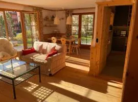 2,5 Zimmer Wohnung mit Bergblick in Engadin