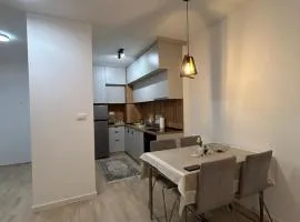 Landing Zone Apartment