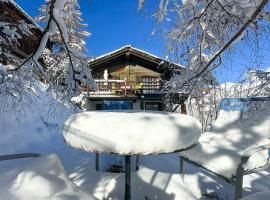 Chalet le Moulin - calme, nature, cheminée, vue, hotel em Liddes