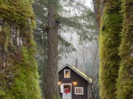 Sunwolf Riverside Cabins, hotel en Brackendale