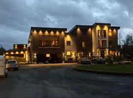 Penthouse apartment 2 bedrooms 70 m2