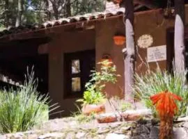 Cabañas Tapalpa Sierra del Tecuan, Cabaña Topo