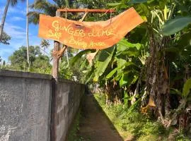 GingerLime Surf and Bakery House