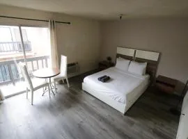 Affordable 1 Queed bed Apartment in Beverly Hills