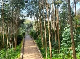 Ubucuti Gorilla Lodge