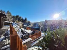 Ferienhaus 1000 Berge Winterberg Kamin & Whirlpool