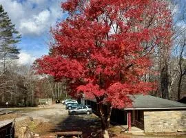 Parkview Lodge & Cabins