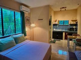 Palm Haven w Starlink, hotel i Siquijor