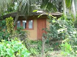 Rural Jungle Backpackers Hostel