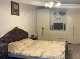 1 комная бюджетная в центре