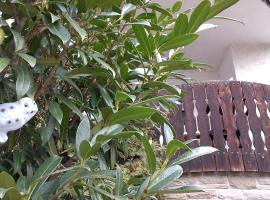 Hotel Balduin - Natur & Flussblick，位于Balduinstein的酒店