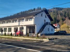 Pensiunea ALDA, Hotel in Suceviţa