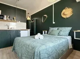 Le Vert Sauvage - Plage et Ville - Clim