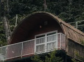 Zeno Village Resort, Near 900 Kandi Wayanad