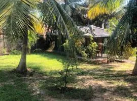 Whispering Wind Yala