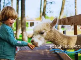 Apartament w Baltic Natur Park - poddasze ALPAKI sauna basen widok na park