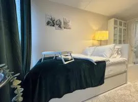 I&A Residence - Roseni tn