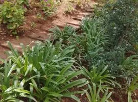 RSM Country Estate Unit 2