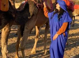 Expérience Chameau à Tanger - Nature & Sérénité