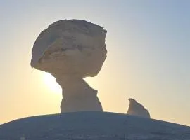 Tours of the White Desert