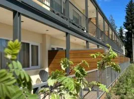 Huinid Pioneros Aparts