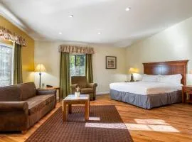 Studio Apartment- Atrium Building -Roundhouse Residences