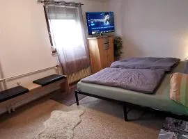 Komfort Ferienhaus mit Garten, 4 Zimmer, 8 Betten, eigene Küche, Bad WC, Gratis Frühstück, Parkplätze und WiFi, so privat wie zu Hause