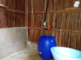 Wobbegong Raja Ampat