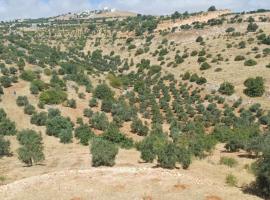 عجلون صخره, hotel v destinaci Ajloun