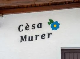 Ospitalità Diffusa Laste Dolomites - Cèsa Murer