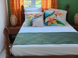 Superbe T3 avec une grande terrasse et un accès direct aux 2 plages Gros Raisin