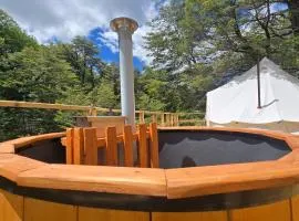 Tinaja, río y bosque en Conguillío