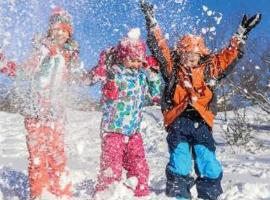 Berghaus Bergzyt - Apartment Älplersuite - im Ski und Wandergebiet, ξενοδοχείο σε Linthal