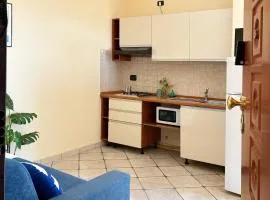 Holihome Vascello A7