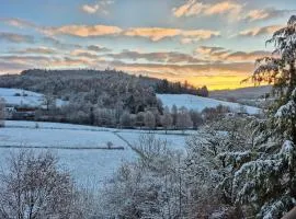 Fewo Schmallenberger Mauerblümchen