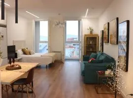 Vigo bonito estudio en el centro