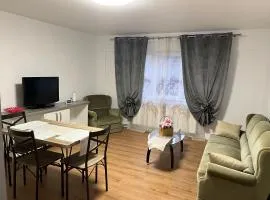 Apartament ilie
