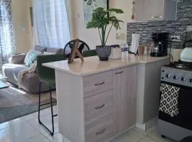 Luxury Stay in Quiet Community