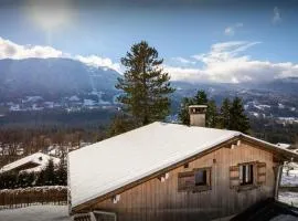 Chalet Mushy - OVO Network