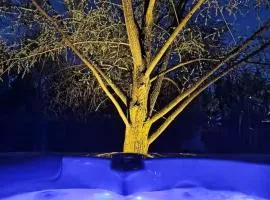 Domaine des pins A la belle étoile