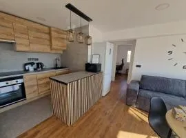 Paz Central Tower - Pets OK