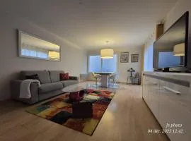 Appartement Hypercentre Albi, Rue croix verte